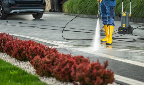 Best Pool Deck Cleaning  in Roselle, NJ